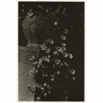 (c) Yoko OYAMA
