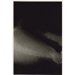 (c) Yoko OYAMA