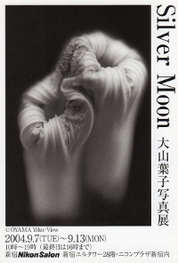 Silver Moon